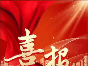 喜報！精大儀表被認定為 合肥市大數據企業