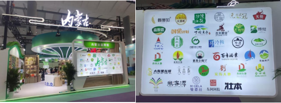 呼和浩特林草產(chǎn)品亮相世界舞臺，技術(shù)交流引領(lǐng)綠色發(fā)展新風(fēng)尚